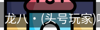 龙八头号玩家